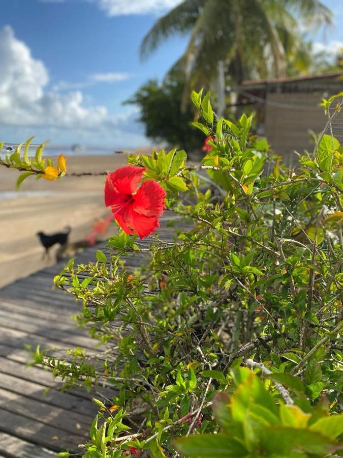 Estalagem Sol De Boipeba Hotel Velha Boipeba Bagian luar foto